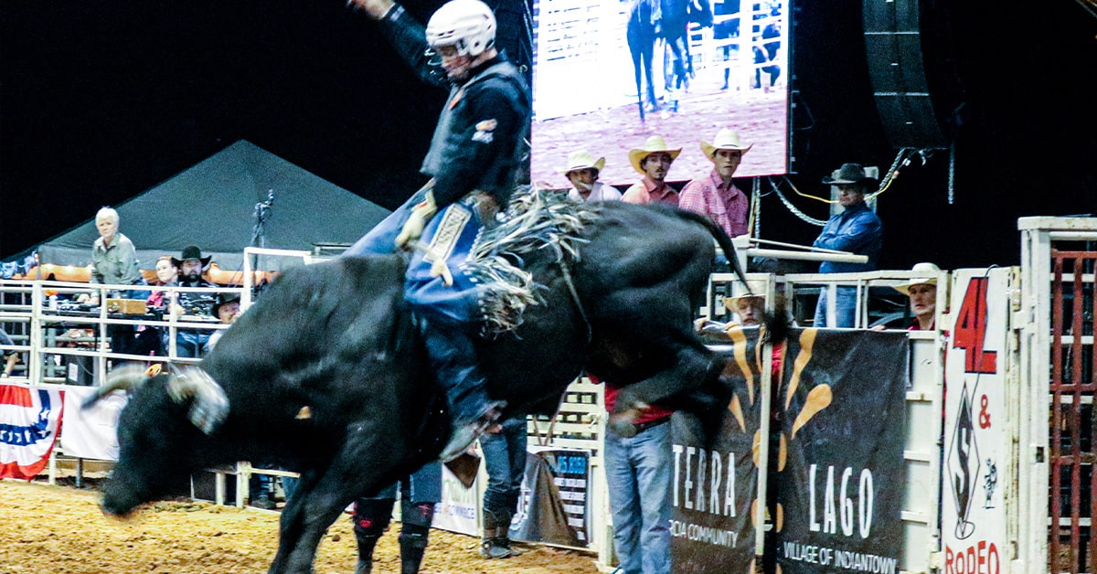 Bull Riding in Indiantown
